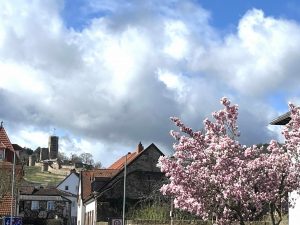 Wachenburg in Wachenheim in der Pfalz