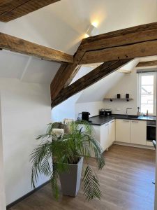 Ferienwohnung Industrial Loft im Steffushof in Wachenheim, Pfalz