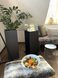 Ferienwohnung Industrial Loft im Steffushof in Wachenheim, Pfalz