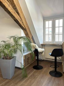 Ferienwohnung Industrial Loft im Steffushof in Wachenheim, Pfalz